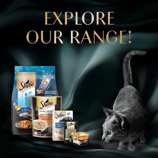 1765731844_81p9OgbRuML._SL1500_.jpg Sheba Fine Premium Adult (1+ Years) Wet Cat Food, Chicken Premium Loaf, 70 g Pouch (Pack of 28), High-moisture gravy cat food for healthy hydration
