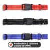 1765766150_81EmLeOQxUL._SL1500_.jpg Wooflix Reflective Leash & Collar Combo Set for Medium Large Dogs Durable Strong Dog Collar Belt & Dog Leash for Medium & Large Dogs Training & Walking Lead Dog Leash (Blue Reflective, Medium)