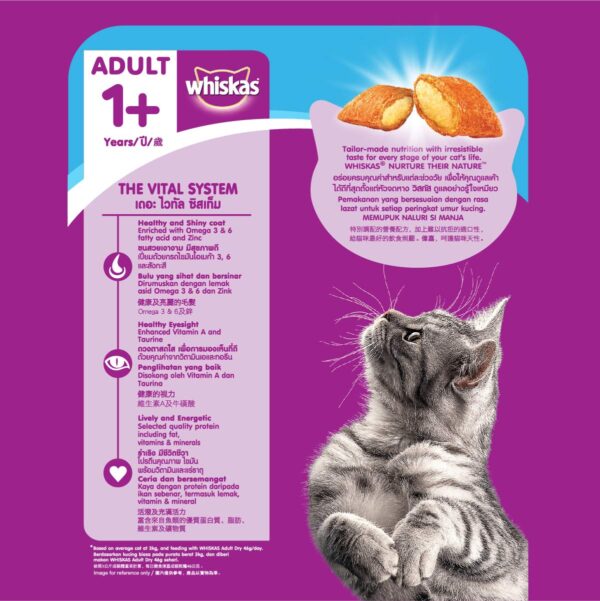 1765805381_71wBQI3O3FL._SL1201_.jpg Whiskas Adult (+1 Year) Dry Cat Food, Mackerel Flavour, 1.2kg Pack & Whiskas Adult (+1 Year) Dry Cat Food, Ocean Fish Flavour, 1.2kg Pack
