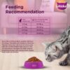 1765817408_81vGbScx-CL._SL1500_.jpg Whiskas Adult (+1 Year) Dry Cat Food, Chicken Flavour, 1.2kg Pack & Whiskas Adult (+1 Year) Dry Cat Food, Mackerel Flavour, 1.2kg Pack