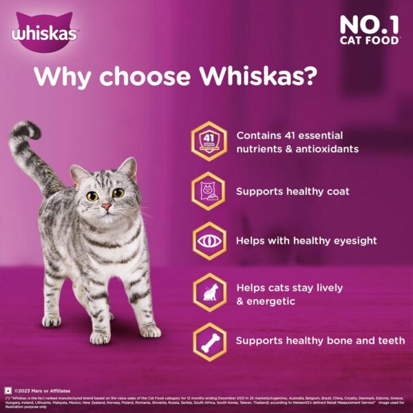 1765817410_719g4gqlBWL._SL1500_.jpg Whiskas Adult (+1 Year) Dry Cat Food, Chicken Flavour, 1.2kg Pack & Whiskas Adult (+1 Year) Dry Cat Food, Mackerel Flavour, 1.2kg Pack