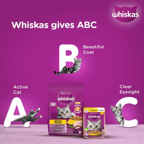 1765817413_71shPFlb-KL._SL1500_.jpg Whiskas Adult (+1 Year) Dry Cat Food, Chicken Flavour, 1.2kg Pack & Whiskas Adult (+1 Year) Dry Cat Food, Mackerel Flavour, 1.2kg Pack