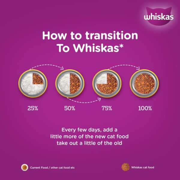 1765817417_71GFhu8aCRL._SL1500_.jpg Whiskas Adult (+1 Year) Dry Cat Food, Chicken Flavour, 1.2kg Pack & Whiskas Adult (+1 Year) Dry Cat Food, Mackerel Flavour, 1.2kg Pack