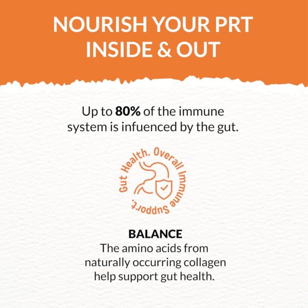 1765824621_810Y0vl4qFL._SL1500_.jpg Goofy Tails Chicken Bone Broth for Cats 300ml (100ml X 3 Pack), Human Grade, Preservative Free,Gut Friendly Cat Food Topper, Cat Supplements with Natural Collagen