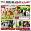 Foodie Puppies Dog Training Walking Rope - Nylon Leash (15mm) for Small to Medium Sized Dogs With Strong Hook - Color May Vary