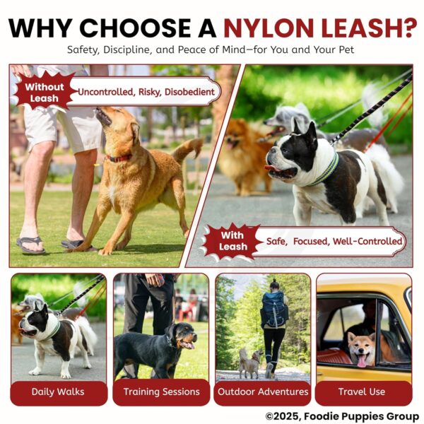 Foodie Puppies Dog Training Walking Rope - Nylon Leash (15mm) for Small to Medium Sized Dogs With Strong Hook - Color May Vary