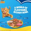1765853113_81n2bXapeDL._SL1500_.jpg Purina Friskies Seafood Sensations Adult Dry Cat Food, 6kg, Contains Tuna, Salmon, Snapper, Crab & Shrimp Flavours