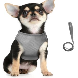 Kuber Industries Reflective Dog Harness with Adjustable Leash|Breathable Polyester Mesh Kuber Industries Reflective Dog Harness with Adjustable Leash|Breathable Polyester Mesh Fabric |Medium Size|HT-844|Comfortable No-Pull Grip|Quick Release Buckles|Easy On - Easy Off Harness|Grey
