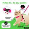 Buraq Basic Full Body Cat Harness with Leash Set for Walking | Escape Proof | Adjustable & Durable for Cats (Dark Pink)