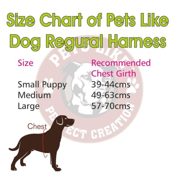 1765901918_612lg6JrLLL._SL1000_.jpg Pets Like Dog Reflective Regular V Harness Sky Blue(Small)
