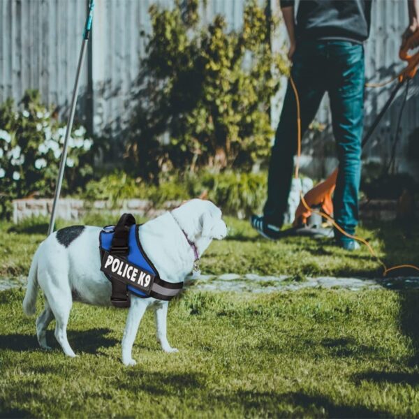 1765911543_71vMOIOg1jL._SL1500_.jpg Emily Pets Police-K9 Dog Harness,No Pull Harness for dogs,Breathable and Easy Control with Handle & Leash Attachment ,Easy Walking Training for Dog,Dog Training No Escape Adjustable Reflective Vest(S,Purple)