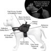 1765911545_717MaCd8RpL._SL1500_.jpg Emily Pets Police-K9 Dog Harness,No Pull Harness for dogs,Breathable and Easy Control with Handle & Leash Attachment ,Easy Walking Training for Dog,Dog Training No Escape Adjustable Reflective Vest(S,Purple)