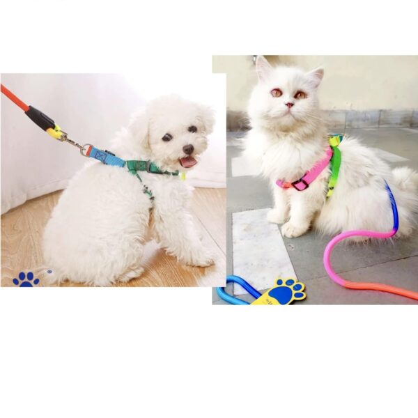 1765916308_61wDV4tn6BL._SL1500_.jpg A+a Pets' Harness and Leash Set, Colourful Combo in Rainbow for Cats and Dogs (L/XL Rainbow)
