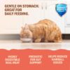 Bellotta Premium Wet Food for Cats and Kittens, Tuna, 85 g (Pack of 24)