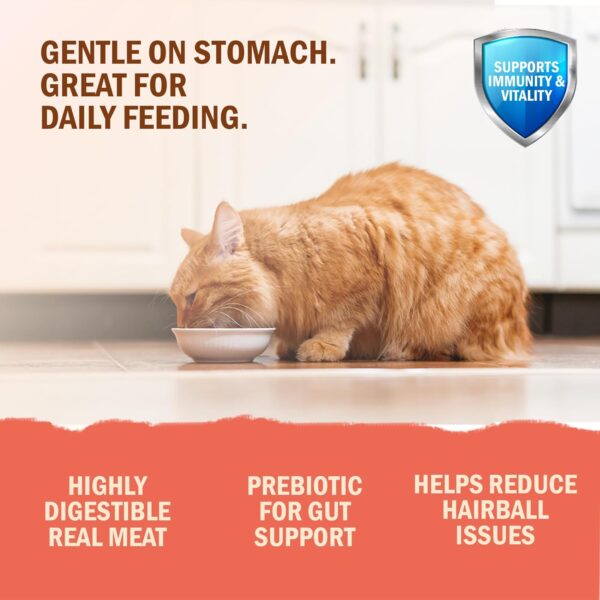 Bellotta Premium Wet Food for Cats and Kittens, Tuna, 85 g (Pack of 24)