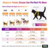 1765918609_81p8AyIK9UL._SL1500_.jpg Buraq Pets Cat Harness with Leash for Outdoor, Walking, Escape Proof, Air Mesh Fabric, Easy Control, Adjustable & Durable Cat Leash with Harness for Small Medium & Large Cats (XS - Grey)