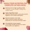 Bellotta Premium Wet Food for Cats and Kittens, Mackerel, 85 g (Pack of 16) Sold by DogsNCats