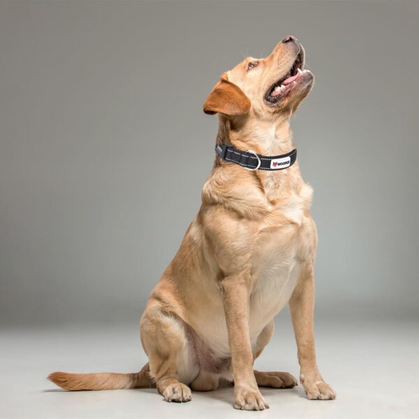 1765939951_71db3wD5HhL._SL1500_.jpg WOOFLIX Reflective Dog Leash And Collar Combo Set | Dog Collar & Anti Slip Padded Handle Leash For Dogs | Dog Rope For Medium & Large Dogs | (Leash 5 Feet + Collar Xl, Black)