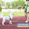Petology Dog Leash 4FT Long, 1cm Thick Reflective Heavy Duty Rope with Anti-Slip Padded Handle for Small Dogs