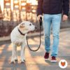 1765947153_81qzlsVs7aL._SL1500_.jpg Wooflix Heavy Duty Nylon Dog Leash | Anti Slip Padded Handle Long Dog Leash | Highly Reflective Leash for Dogs | Dog Rope for Medium & Large Dogs | Dog Training Leash | (Black, 6.5 Feet Long)