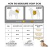 1765949528_61VvlPRTAtL._SL1500_.jpg Adjustable Dog Harness and Leash Set for Dogs | No-Pull, No-Choke Soft Padded Vest | Cute Monster Face Design | Easy Control | Reflective & Comfortable Pet Harness | Walking and Training