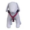 1766007121_61QFclBzOdL._SL1000_.jpg Pets Like Dog Polyester Full Harness Maroon(Medium) (GE-PL0013D)