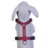 1766007123_61dZOT8mFUL._SL1000_.jpg Pets Like Dog Polyester Full Harness Maroon(Medium) (GE-PL0013D)