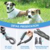 Boltz Heavy Duty Nylon Reflective Leash 6.5 Feet, ½ Inch Thick Reflective Training Rope for Small, Medium and Large Dogs, Strong and Durable Padded Handle & Night Reflective Leash (6.5 Feet, Black)