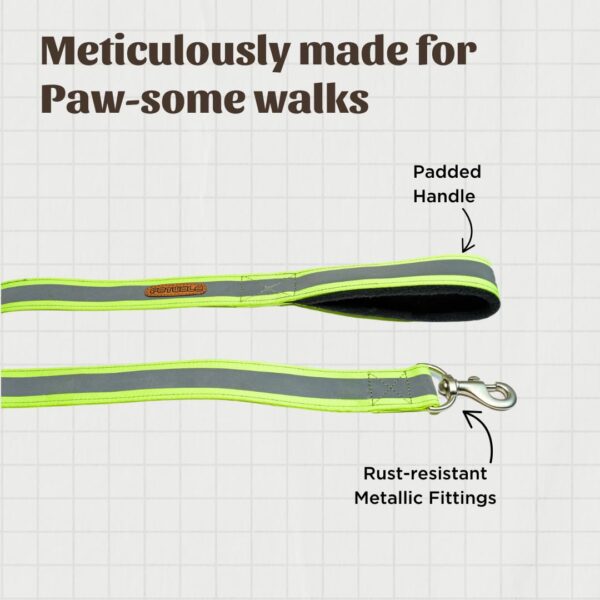 PetWale Dog Leash with Padded Handle | Suited for Walking, Running, Training & More | Reflective Green Nylon | Easy to Clean & Maintain | Durable & Sturdy | L: 5 feet, W: 1.5 inches