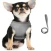 Kuber Industries Dog Chest Harness with Nylon Leash I No Pull, Soft Padded and Breathable Dog Vest I Adjustable, Reflective I Easy Control Dog Chest Belt I (XL, Grey)