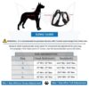1766189407_71svgj2SKjL._SL1500_.jpg HANK Dog Harness Leash Set - Soft Comfortable Handle - Dog Vest for Small Breed - No Pull Harness - Dog Vest for Training - Walking (Neon - Grey - S (Harness + Leash)