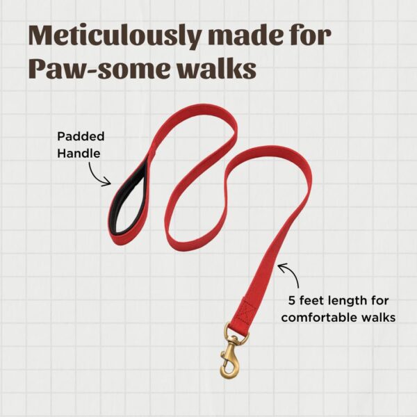 PetWale Dog Leash with Padded Handle | Suited for Walking, Running, Training & More | Red Fabric | Easy to Clean & Maintain | Durable & Sturdy | L: 5 feet, W: 1.5 inches