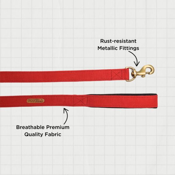 PetWale Dog Leash with Padded Handle | Suited for Walking, Running, Training & More | Red Fabric | Easy to Clean & Maintain | Durable & Sturdy | L: 5 feet, W: 1.5 inches