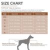 Pupteck Adjustable No-Pull Dog Harness, Collar and Leash Set for Small Medium Dogs, Puppies and Cats, Soft Mesh Padded Reflective Chest Strap for Walking and Training (Beige, XL (Chest 20"-22"))