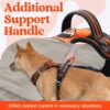 Premium Reflective Dog Vest Harness| Soft Breathable| Padded Handle| Adjustable Straps & Luxury Buckle| No-Choke Design with Free Leash-26mm Chest (22-30 inch) All Medium Breeds 14-22 Kg