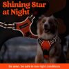 Premium Reflective Dog Vest Harness| Soft Breathable| Padded Handle| Adjustable Straps & Luxury Buckle| No-Choke Design with Free Leash-26mm Chest (22-30 inch) All Medium Breeds 14-22 Kg