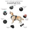 Dog Harness for Small Dogs – Reflective Strip Harness for Dogs Small, Medium, Large and Extra Large – Heavy Duty Anti Pulling Non Choking Dog Body Belt – Adjustable Black Dog Harness