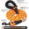 1766860583_81hzaWB0AmL._SL1500_.jpg WOOFLIX Reflective Dog Leash And Collar Combo Set|Dog Collar & Anti Slip Padded Handle Leash For Dogs|Highly Reflective|Dog Rope For Medium & Large Dogs|(Leash 6.5 Ft. + Collar Large, Orange, 18 Cm)