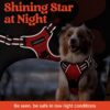 Premium Reflective Dog Vest Harness| Soft Breathable| Padded Handle| Adjustable Straps & Luxury Buckle| No-Choke Design with Free Leash-26mm Chest (28-35inch) All Medium Breeds 14-22 Kg