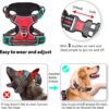 Dog Harness Dog Body Belt Vest for Large Medium Small Dogs with Safety Reflective No Pull Adjustable Military Style Dog Vest Training Harness(Red, Large)