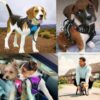 Dog Harness Dog Body Belt Vest for Large Medium Small Dogs with Safety Reflective No Pull Adjustable Military Style Dog Vest Training Harness(Red, Large)