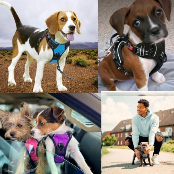 Dog Harness Dog Body Belt Vest for Large Medium Small Dogs with Safety Reflective No Pull Adjustable Military Style Dog Vest Training Harness(Red, Large)