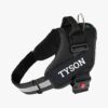 1766965179_51Edo4ALPWL._SL1200_.jpg Customized Dog Vest Harness with Pet Name, Personalized Dog Belt with Dog Name, No Pull Harness Reflective Vest Harness Belt Adjustable (Black - Combo, Medium)