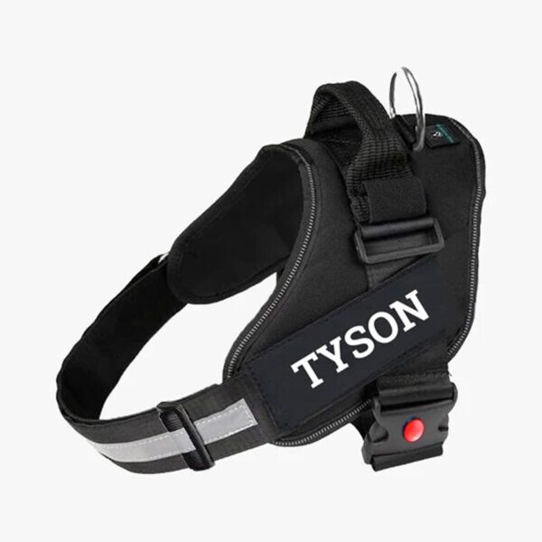 1766965179_51Edo4ALPWL._SL1200_.jpg Customized Dog Vest Harness with Pet Name, Personalized Dog Belt with Dog Name, No Pull Harness Reflective Vest Harness Belt Adjustable (Black - Combo, Medium)