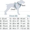 1766965185_61SkvkgqG8L._SL1500_.jpg Customized Dog Vest Harness with Pet Name, Personalized Dog Belt with Dog Name, No Pull Harness Reflective Vest Harness Belt Adjustable (Black - Combo, Medium)