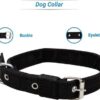 Combo: Collar, Leash, and Belt With Silver Chain for Medium Size Dogs - Width 20 MM (Large, Black)