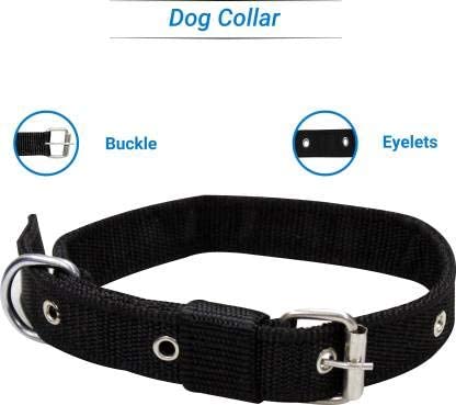 Combo: Collar, Leash, and Belt With Silver Chain for Medium Size Dogs - Width 20 MM (Large, Black)