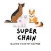Combo: Collar, Leash, and Belt With Silver Chain for Medium Size Dogs - Width 20 MM (Large, Black)