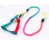 Dog Trust 10 MM Rainbow Color Rainbow Multicolor Dog Adjustable Harness/Leash/Collar for Small Dogs