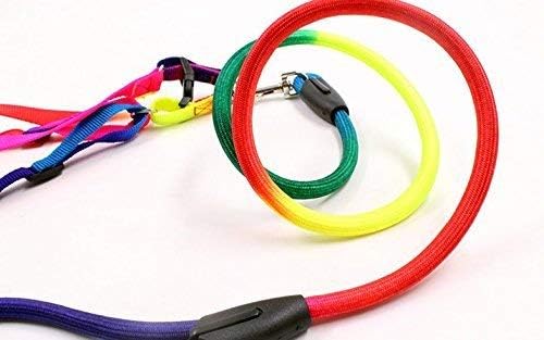 Dog Trust 10 MM Rainbow Color Rainbow Multicolor Dog Adjustable Harness/Leash/Collar for Small Dogs